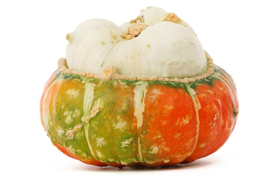 unusual foods