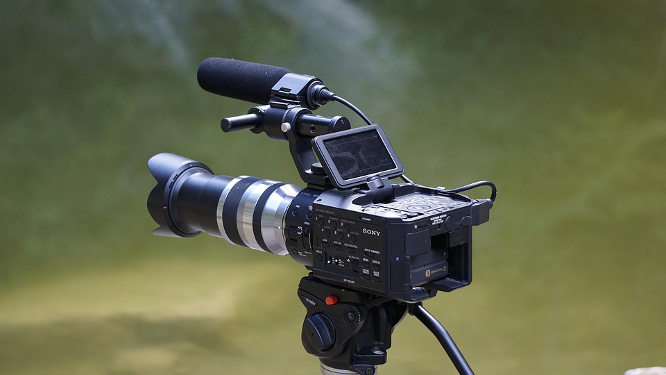 viral videos