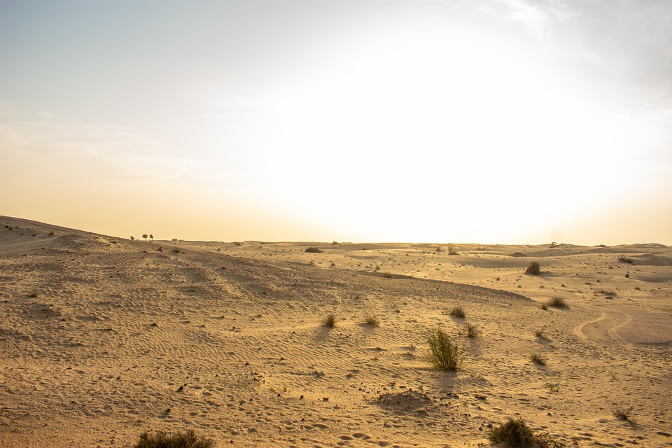 UAE adventure