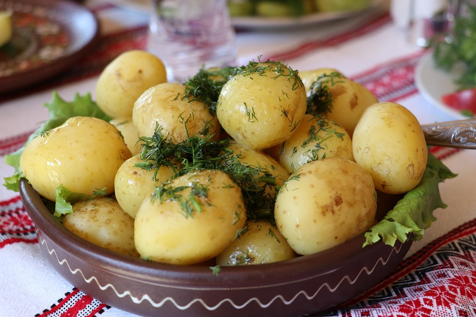 food culture